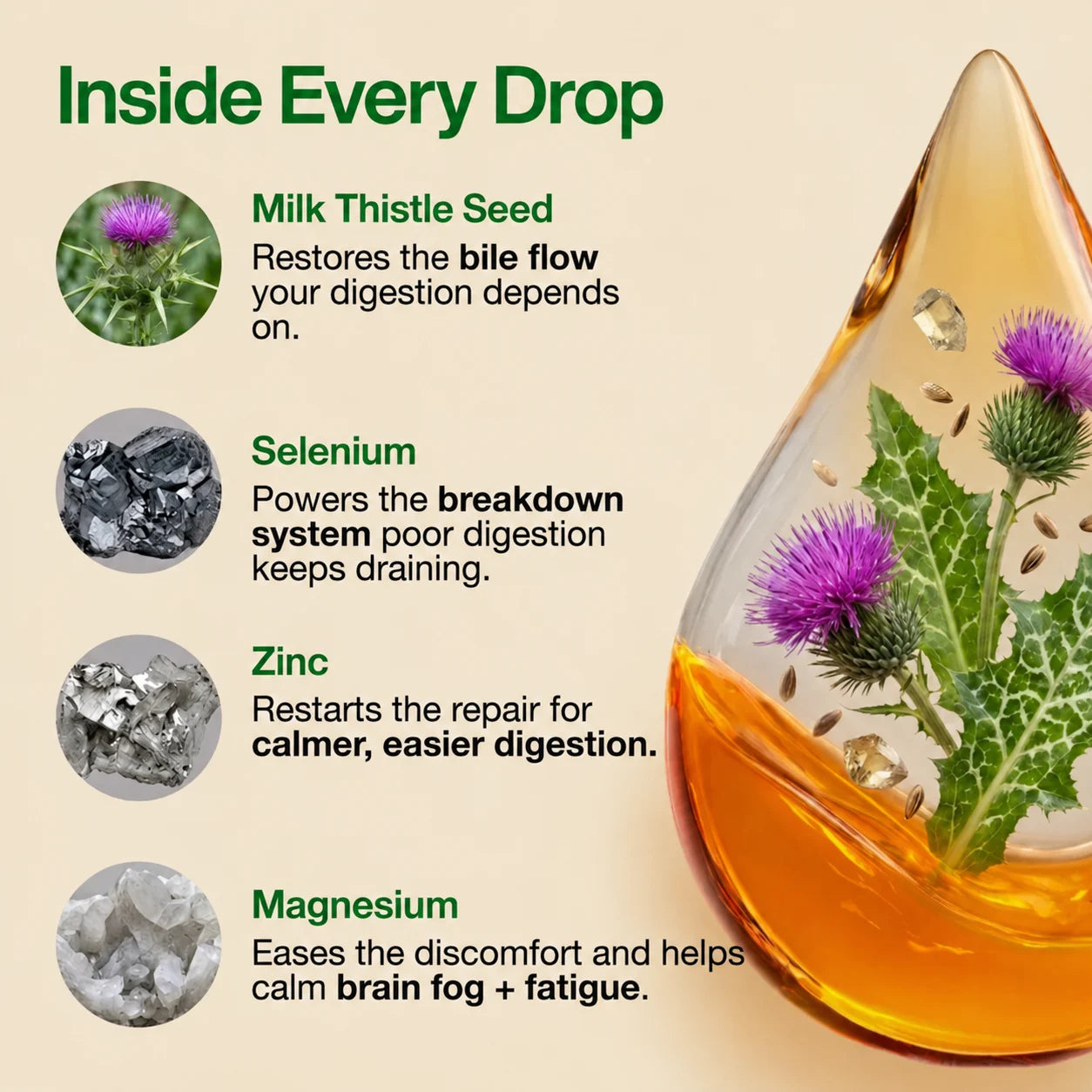Axivelle® Digestive Balance