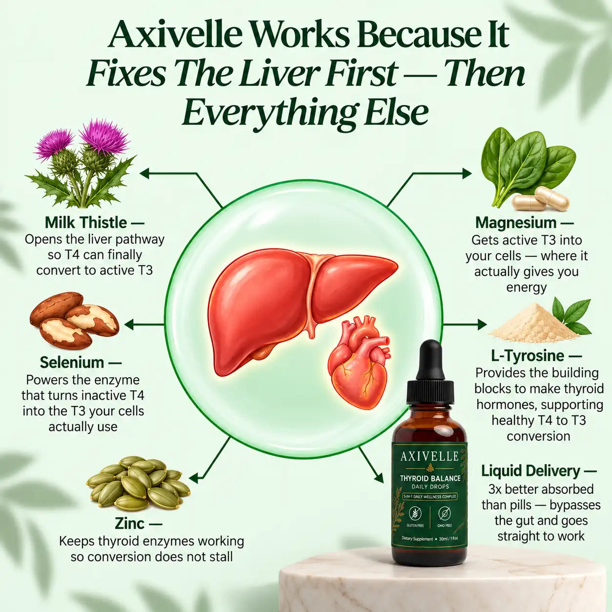 Axivelle Thyroid Balance